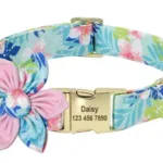 collar-personalizado-de-animales-4-1