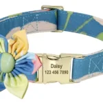 collar-personalizado-de-animales-6-1