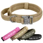 collar-personalizado-para-perro-grande-1-1