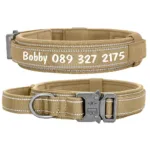 collar-personalizado-para-perro-grande-2-1