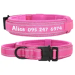 collar-personalizado-para-perro-grande-3-1