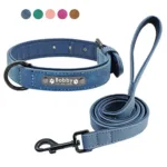 collar-y-correa-para-perro-personalizados-1-1