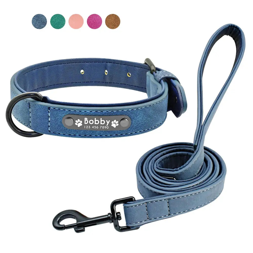 collar-y-correa-para-perro-personalizados-1-1