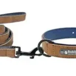 collar-y-correa-para-perro-personalizados-3-1
