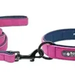 collar-y-correa-para-perro-personalizados-4-1