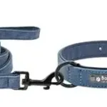 collar-y-correa-para-perro-personalizados-5-1