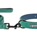 collar-y-correa-para-perro-personalizados-6-1
