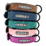 collar-y-correa-para-perro-personalizados-7-1