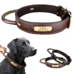 Collares Perro Caza - Photo 1