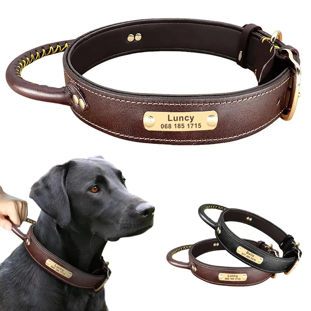 Collares Perro Caza - Photo 1