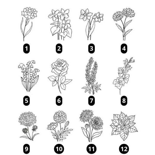 selección de flores